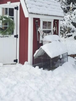 Chicken Wire Crop Coop 24 Chicken Wire Crop Coop -Gardening Supplies Store 8609080 03IN tif