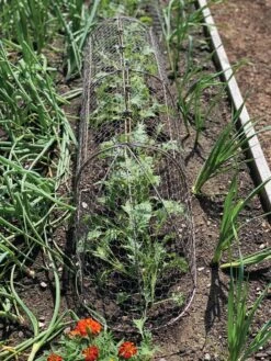 Chicken Wire Row Cloche Expandable Extra Large 3N1 -Gardening Supplies Store 8609412 5903 tif