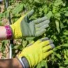 Garden Works Artisanâ„¢ Gloves 1 Garden Works Artisanâ„¢ Gloves -Gardening Supplies Store 8609445 0364 tif
