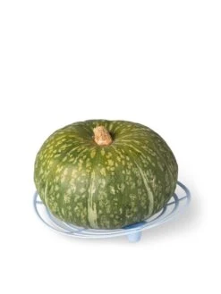 Melon And Squash Cradles, Set Of 6 8 Melon And Squash Cradles, Set Of 6 -Gardening Supplies Store 8609464 5204 tif
