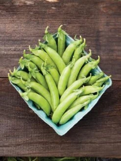 Family Garden Organic Seed Collection, Set Of 7 -Gardening Supplies Store 8610262 cascadia peas 01V tif