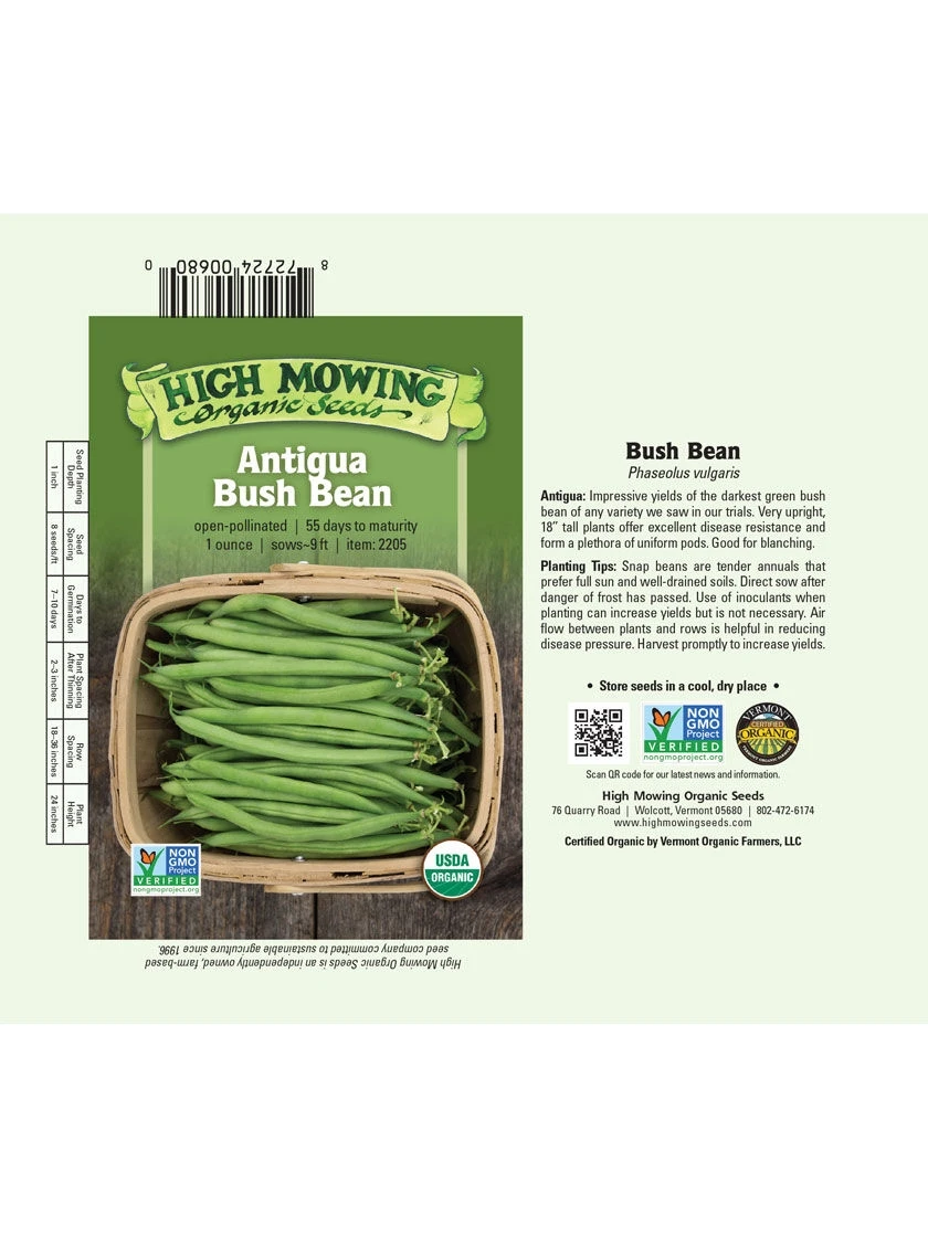 Antigua Bush Bean Organic Seeds 4 Antigua Bush Bean Organic Seeds - Image 2