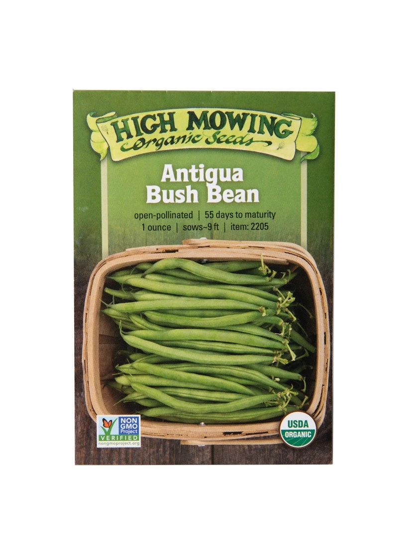 Antigua Bush Bean Organic Seeds 3 Antigua Bush Bean Organic Seeds