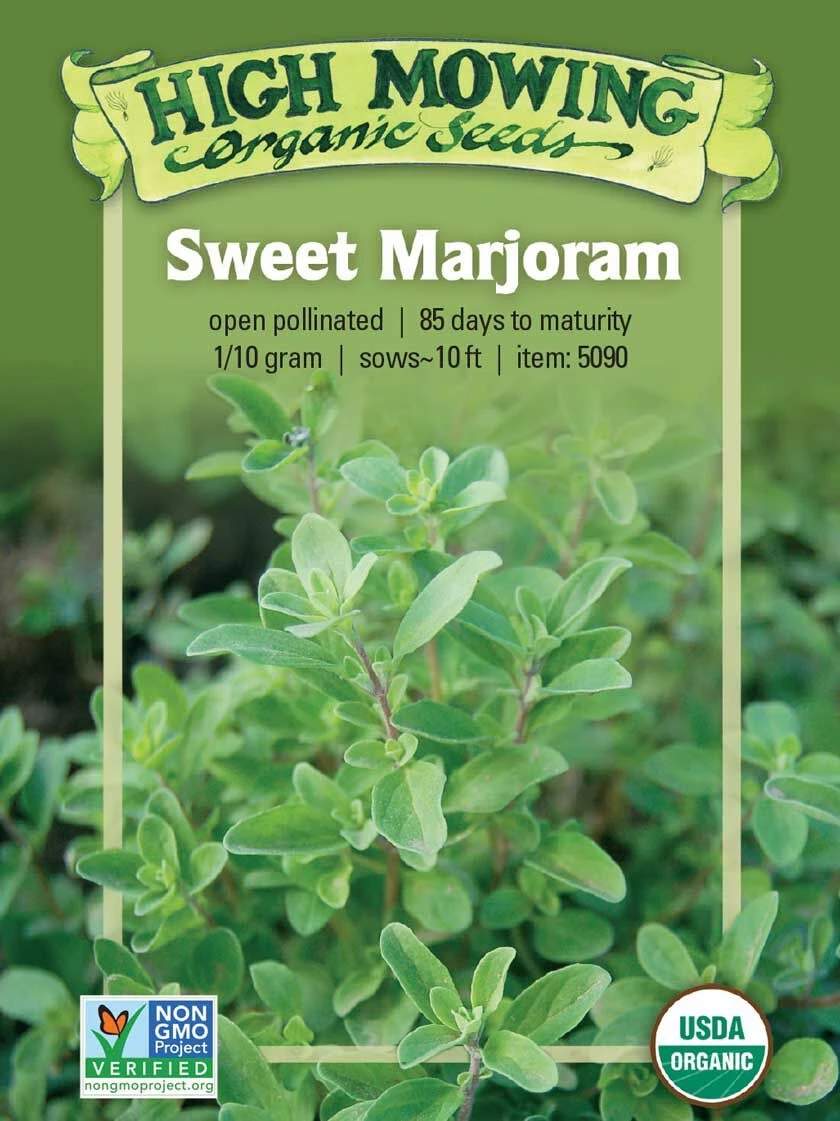 Sweet Marjoram Organic Seeds 3 Sweet Marjoram Organic Seeds