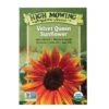 Velvet Queen Sunflower Organic Seeds -Gardening Supplies Store 8610362 9977 velvet queen sunflower organic seeds