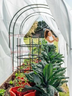 Maxi Garden Hoops With Clips -Gardening Supplies Store 8610373 377 tif