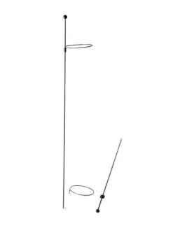 Peacock Mini Plant Support Rings 4", Set Of 2 -Gardening Supplies Store 8610386 9566