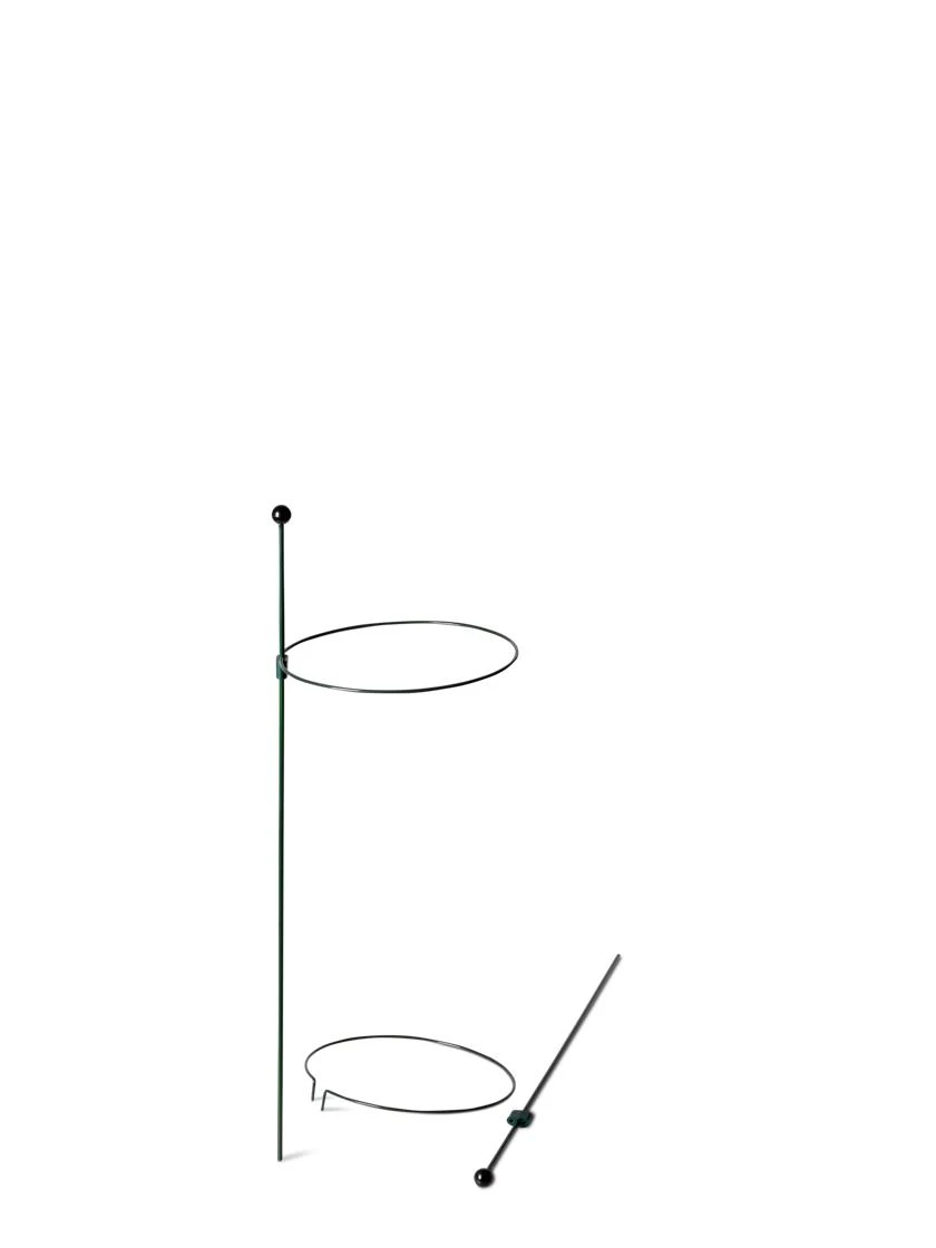 Peacock Mini Plant Support Rings 8", Set Of 2 8 Peacock Mini Plant Support Rings 8", Set Of 2 - Image 6