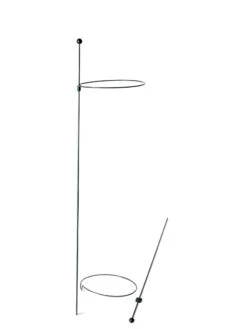 Peacock Mini Plant Support Rings 8", Set Of 2 15 Peacock Mini Plant Support Rings 8", Set Of 2 -Gardening Supplies Store 8610388 9565 tif