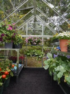 Canopia® By Palram Harmony™ Greenhouse, 6' X 14' -Gardening Supplies Store 8610563 03V jpg