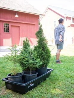 Gardening Supplies Store -Gardening Supplies Store 8611044 237 tif