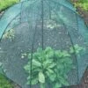 GardenSkill Pop N Crop Plant Umbrella -Gardening Supplies Store 8611105 01V tif