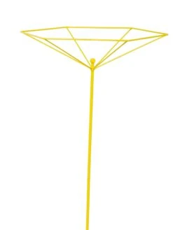 Parasol Plant Supports, Set Of 3 16 Parasol Plant Supports, Set Of 3 -Gardening Supplies Store 8611129 3844 tif