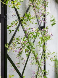 Lattice Gable Wall Trellis -Gardening Supplies Store 8611130 011