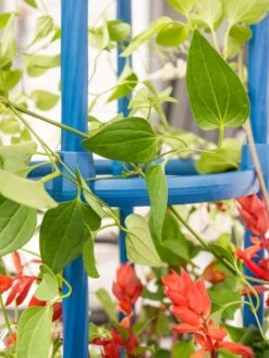 Fleur De Lis Obelisk, 67" -Gardening Supplies Store 8611663 0607 tif