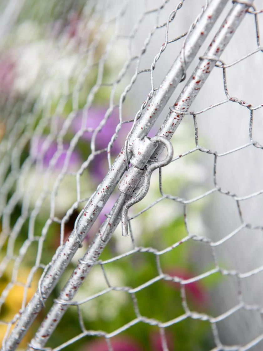 Chicken Wire Flat Back Crop Coop 5 Chicken Wire Flat Back Crop Coop - Image 4