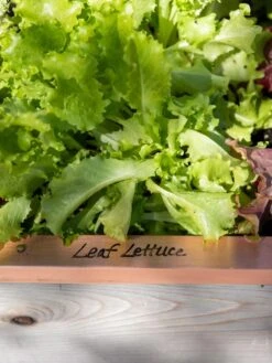 Re-Markable Raised Bed Trim -Gardening Supplies Store 8611757 326 tif