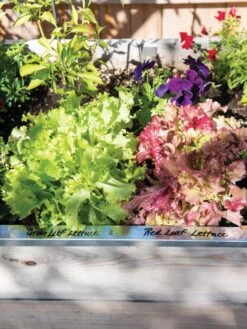 Re-Markable Raised Bed Trim -Gardening Supplies Store 8611758 306 tif