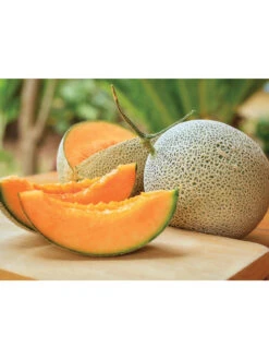 Hales Best Cantaloupe Organic Seeds 6 Hales Best Cantaloupe Organic Seeds -Gardening Supplies Store 8611872 01v