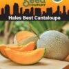 Hales Best Cantaloupe Organic Seeds 2 Hales Best Cantaloupe Organic Seeds -Gardening Supplies Store 8611872 02v hales best cantaloupe organic seeds
