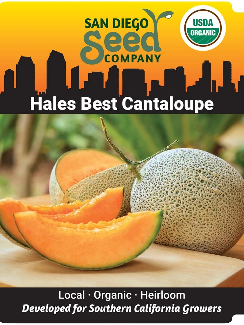 Hales Best Cantaloupe Organic Seeds 3 Hales Best Cantaloupe Organic Seeds