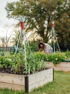 DIY Connector For Teepee Trellis 21 DIY Connector For Teepee Trellis -Gardening Supplies Store 8611896 38 tif