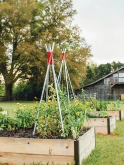 DIY Connector For Teepee Trellis 20 DIY Connector For Teepee Trellis -Gardening Supplies Store 8611896 71 tif