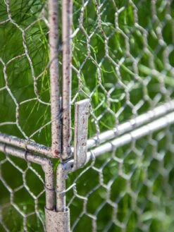 Chicken Wire Crop Coop Extension 12 Chicken Wire Crop Coop Extension -Gardening Supplies Store 8611940 232 tif