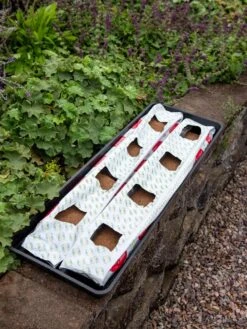 Berry Blend Coir Grow Bag, Set Of 2 -Gardening Supplies Store 8611968 361 tif