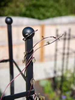 Essex Square Obelisk -Gardening Supplies Store 8611984 278 tif