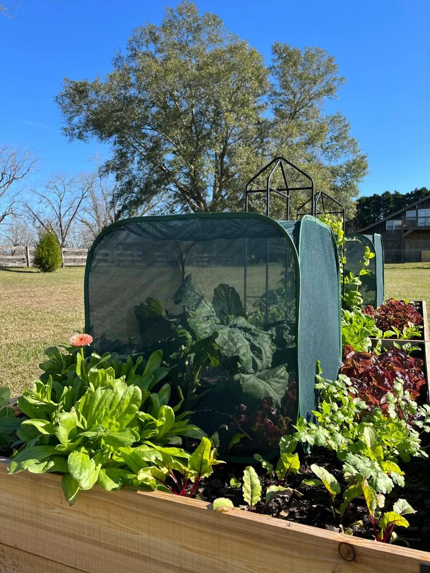 Pest Control Pop-Ups 3 Pest Control Pop-Ups