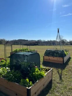 Pest Control Pop-Ups 15 Pest Control Pop-Ups -Gardening Supplies Store 8611989 05 tif