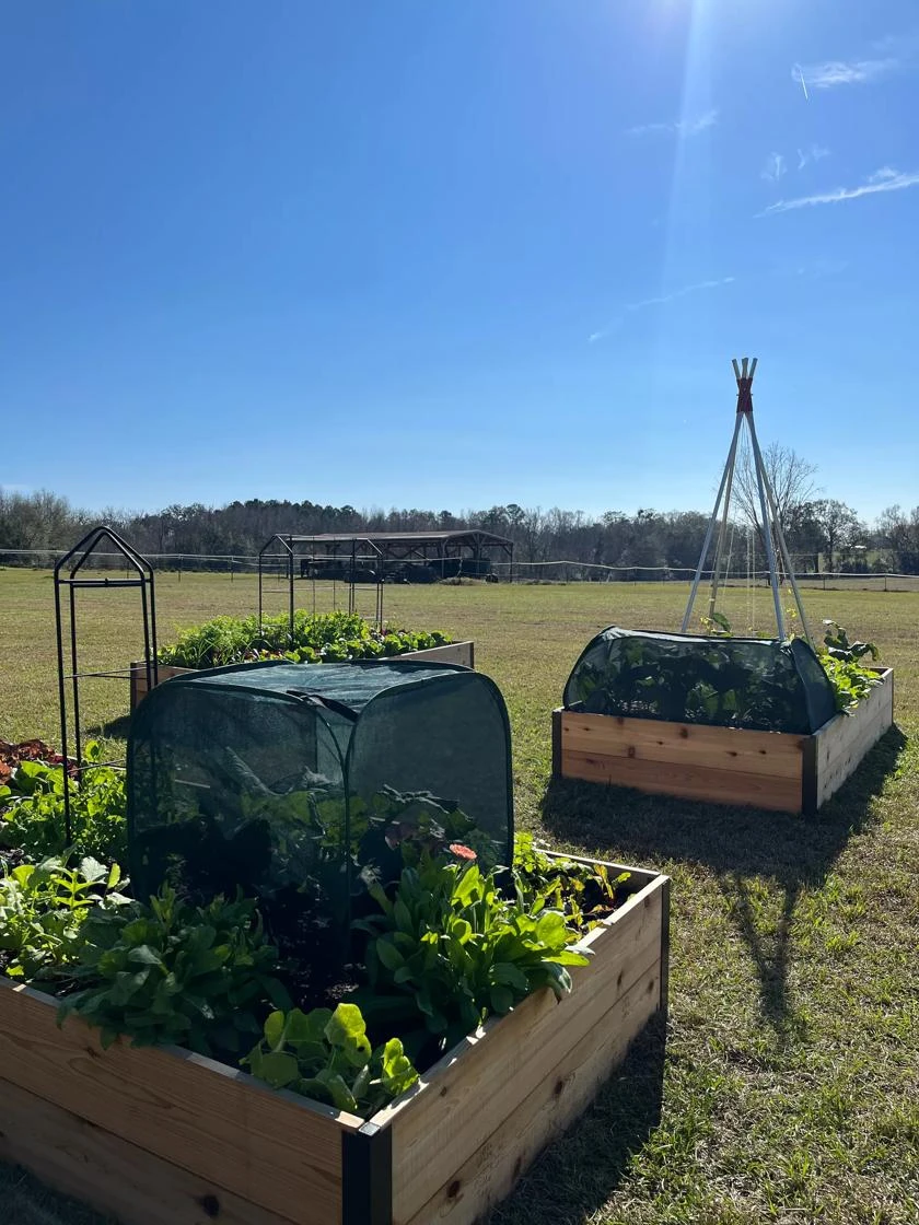 Pest Control Pop-Ups 8 Pest Control Pop-Ups - Image 6