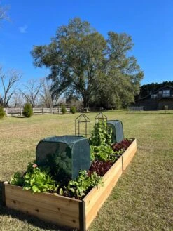 Pest Control Pop-Ups 14 Pest Control Pop-Ups -Gardening Supplies Store 8611989 08 tif