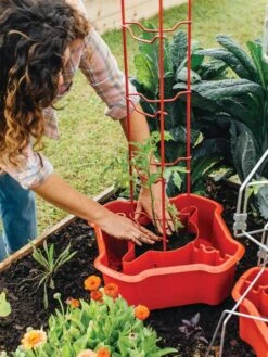 Deluxe Tomato Halos, Set Of 2 14 Deluxe Tomato Halos, Set Of 2 -Gardening Supplies Store 8612045 135 tif