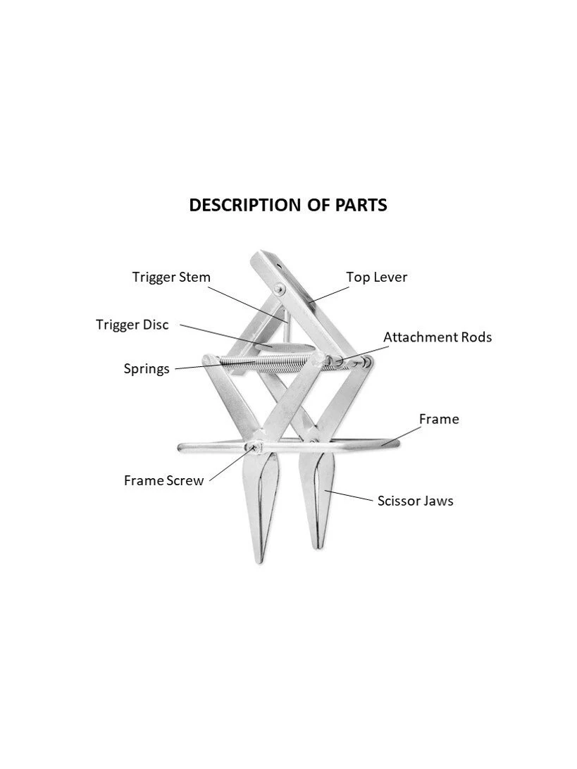 Easy Mole Trap 6 Easy Mole Trap - Image 4