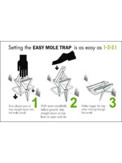 Easy Mole Trap 8 Easy Mole Trap -Gardening Supplies Store 8612557 04v 1