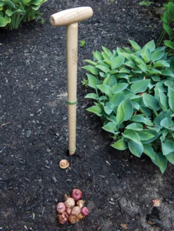 Wicked Big Dibber 10 Wicked Big Dibber -Gardening Supplies Store 8612667 0028