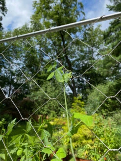 Chicken Wire Pea Trellis 19 Chicken Wire Pea Trellis -Gardening Supplies Store 8612718 7311