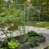 Chicken Wire Pea Trellis -Gardening Supplies Store 8612718 7313 chicken wire pea trellis