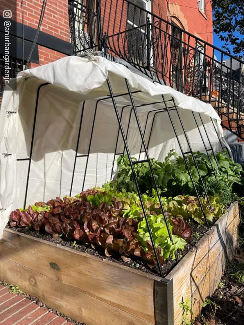 Zenith Garden Hoops, Set Of 4 8 Zenith Garden Hoops, Set Of 4 - Image 6