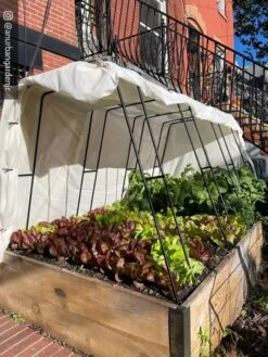 Cotton All Purpose Garden Cover -Gardening Supplies Store 8612816 01CUST