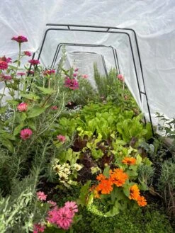 All-Purpose Garden Fabric 14 All-Purpose Garden Fabric -Gardening Supplies Store 8612816 01TEST