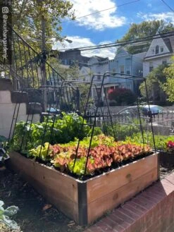 Zenith Garden Hoops, Set Of 4 16 Zenith Garden Hoops, Set Of 4 -Gardening Supplies Store 8612816 02CUST