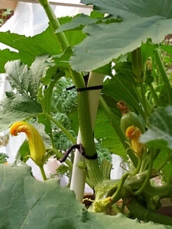 Farmyarn® Multipurpose Garden Tie, 2 Pack -Gardening Supplies Store 8612948 01v