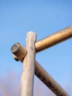 Tomato Six Pack Support 18 Tomato Six Pack Support -Gardening Supplies Store 8613143 0385 1