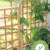 Bamboo Zig-Zag Trellis 24" X 36" -Gardening Supplies Store 8613151 15