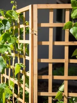 Bamboo Zig-Zag Trellis 24" X 36" -Gardening Supplies Store 8613151 6491