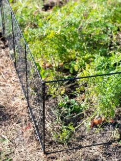 Chicken Wire Critter Fence, 16" High -Gardening Supplies Store 8613249 0309