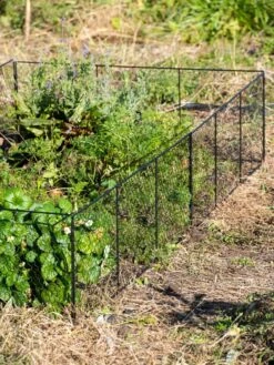 Chicken Wire Critter Fence, 16" High -Gardening Supplies Store 8613249 0336